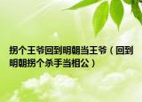 拐个王爷回到明朝当王爷（回到明朝拐个杀手当相公）