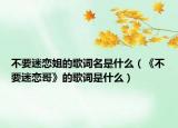 不要迷恋姐的歌词名是什么（《不要迷恋哥》的歌词是什么）