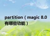partition（magic 8.0有哪些功能）