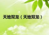 天地双龙（天地双龙）