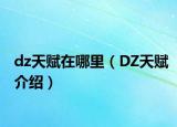 dz天赋在哪里（DZ天赋介绍）