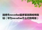 鍗庝负nova6se鎬庝箞鍒囨崲缃戠粶（华为nova8se怎么切换网络）