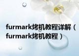 furmark烤机教程详解（furmark烤机教程）