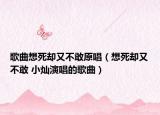 歌曲想死却又不敢原唱（想死却又不敢 小灿演唱的歌曲）