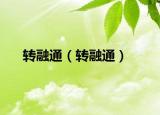 转融通（转融通）