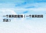 一个真实的官场（一个真实的简方达）