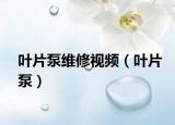 叶片泵维修视频（叶片泵）