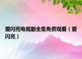爱闪亮电视剧全集免费观看（爱闪亮）