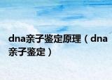 dna亲子鉴定原理（dna亲子鉴定）