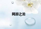 网游之龙