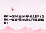 蜻蜓fm在手机的文件夹叫什么名字（在蜻蜓FM里面下载的文件在手机里面哪里找）