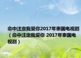 命中注定我爱你2017年泰国电视剧（命中注定我爱你 2017年泰国电视剧）