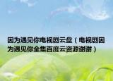 因为遇见你电视剧云盘（电视剧因为遇见你全集百度云资源谢谢）