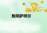 鲍勃萨塔尔