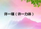 许一瑾（许一力体）