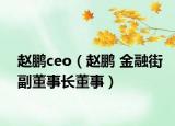 赵鹏ceo（赵鹏 金融街副董事长董事）
