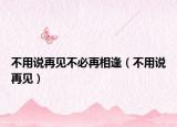 不用说再见不必再相逢（不用说再见）