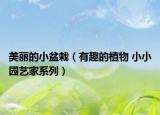 美丽的小盆栽（有趣的植物 小小园艺家系列）