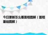 今日更新怎么看面相图解（面相基础图解）