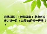 沼林袋鼠（（迷你袋鼠） 北京有吗 多少钱一只 （公母 的价格一样吗 ））