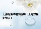 上海野生动物园招聘（上海野生动物园）