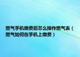 燃气手机缴费后怎么操作燃气表（燃气如何在手机上缴费）