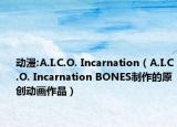 动漫:A.I.C.O. Incarnation（A.I.C.O. Incarnation BONES制作的原创动画作品）