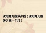 沈阳育儿嫂多少钱（沈阳育儿嫂多少钱一个月）