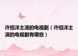许绍洋主演的电视剧（许绍洋主演的电视剧有哪些）