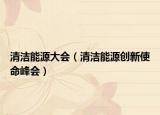 清洁能源大会（清洁能源创新使命峰会）