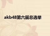 akb48第六届总选举