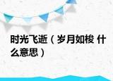 时光飞逝（岁月如梭 什么意思）