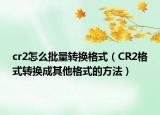 cr2怎么批量转换格式（CR2格式转换成其他格式的方法）
