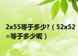 2x55等于多少?（52x52=等于多少呢）
