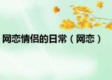 网恋情侣的日常（网恋）