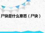 尸块是什么意思（尸块）