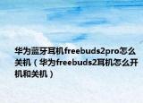 华为蓝牙耳机freebuds2pro怎么关机（华为freebuds2耳机怎么开机和关机）
