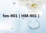 hm-901（HM-901）