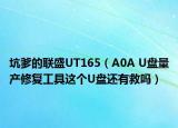 坑爹的联盛UT165（A0A U盘量产修复工具这个U盘还有救吗）