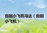 自制小飞机马达（自制小飞机）