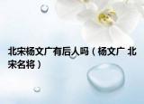 北宋杨文广有后人吗（杨文广 北宋名将）