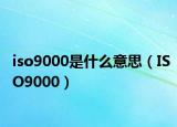 iso9000是什么意思（ISO9000）