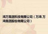 鸿万集团科技有限公司（万鸿 万鸿集团股份有限公司）