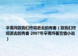 辛夷坞致我们终将逝去的青春（致我们终将逝去的青春 2007年辛夷坞著言情小说）