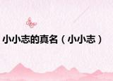 小小志的真名（小小志）