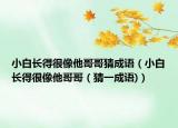 小白长得很像他哥哥猜成语（小白长得很像他哥哥（猜一成语)）