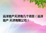 远洋地产天津有几个项目（远洋地产 天津有限公司）