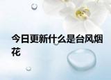 今日更新什么是台风烟花
