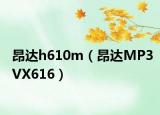 昂达h610m（昂达MP3VX616）