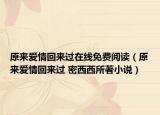 原来爱情回来过在线免费阅读（原来爱情回来过 密西西所著小说）